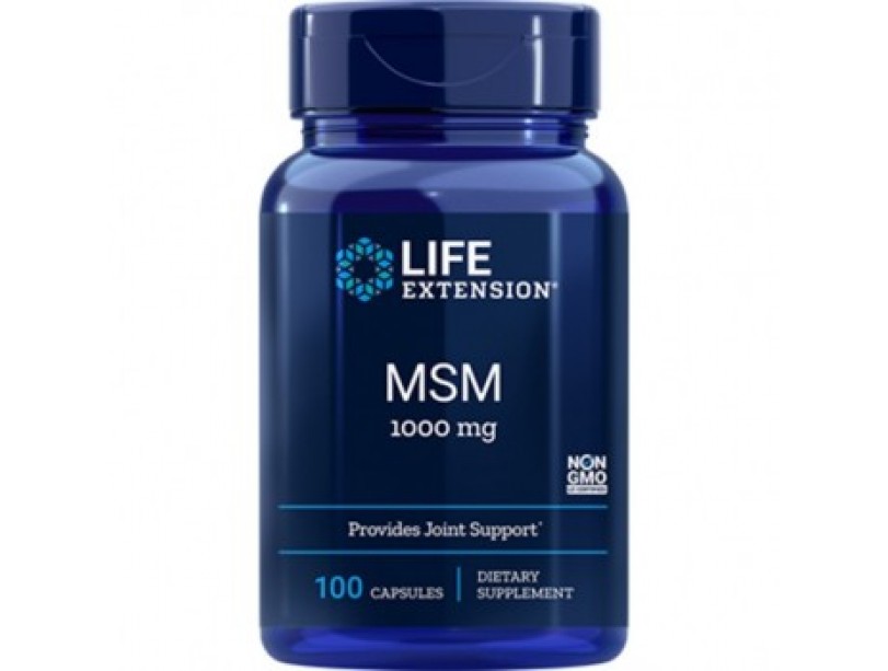 Supplement