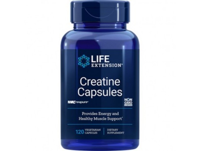 Supplement