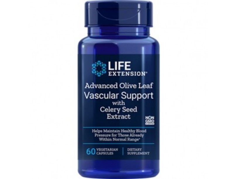 Supplement