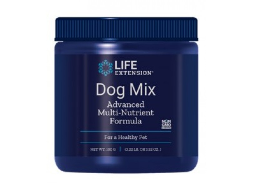 Supplement
