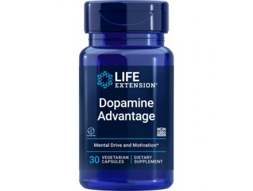 Supplement