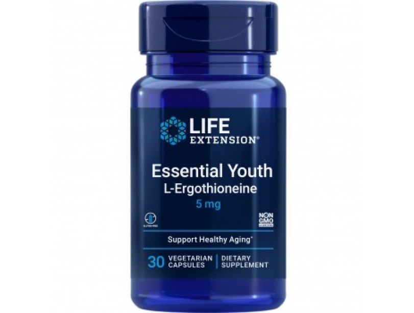 Supplement